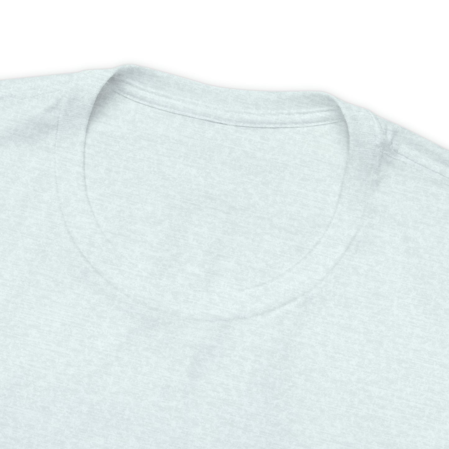 Sonic Streetwear Premium Unisex Softstyle T-Shirt